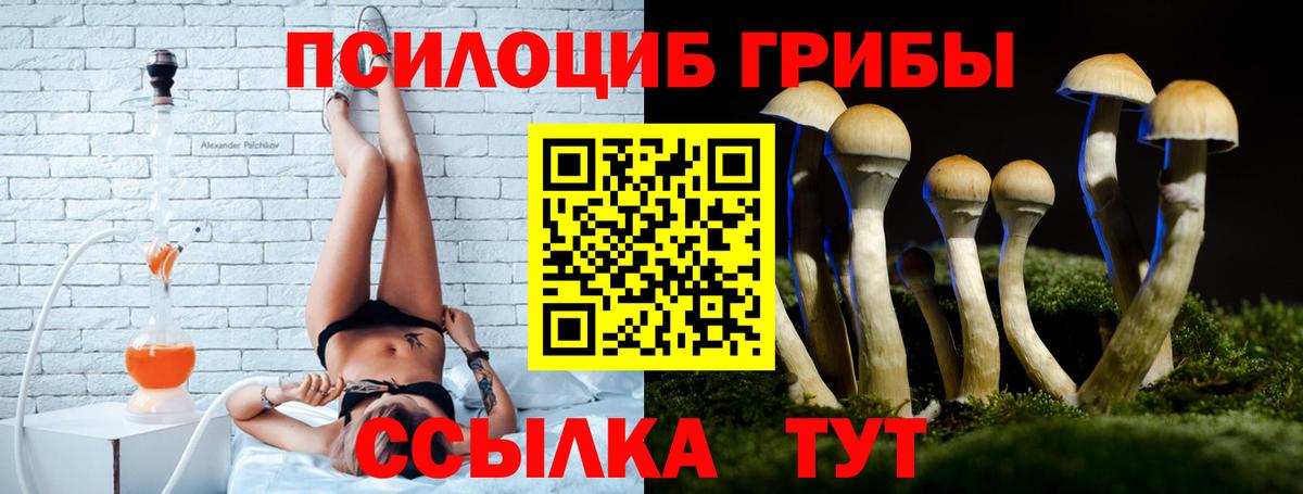 Балашиха  Псилоцибиновые грибы MAGIC MUSHROOMS  Вход с VPN 